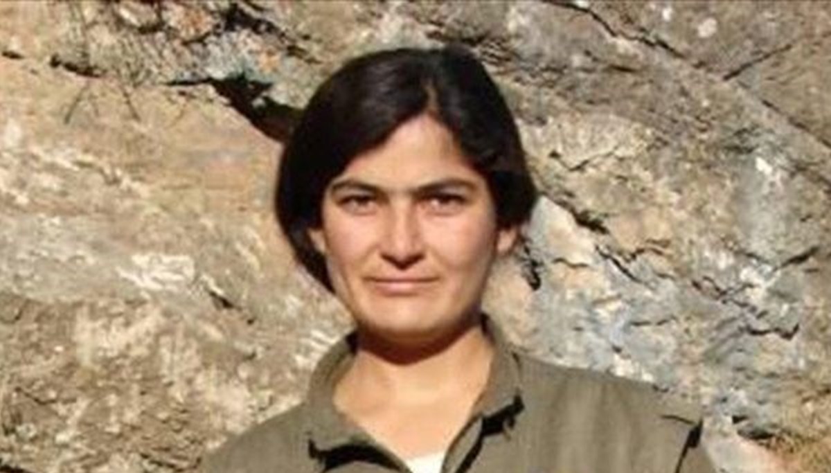 MİT'ten operasyon: PKK/KCK'nın sözde yöneticisi etkisiz hale getirildi