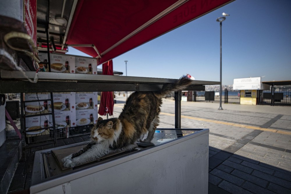 65 YAŞ ÜSTÜ SOKAĞA ÇIKIYOR... Yarın sokaklar 4 saatliğine onların