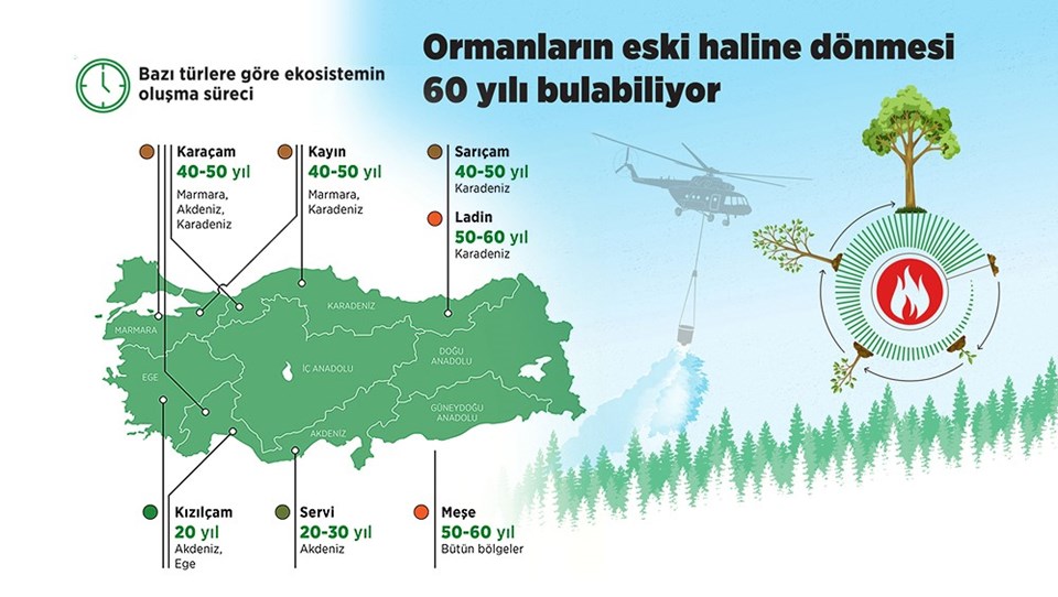 Yanan ormanların eski haline dönmesi 60 yılı bulabiliyor - 1