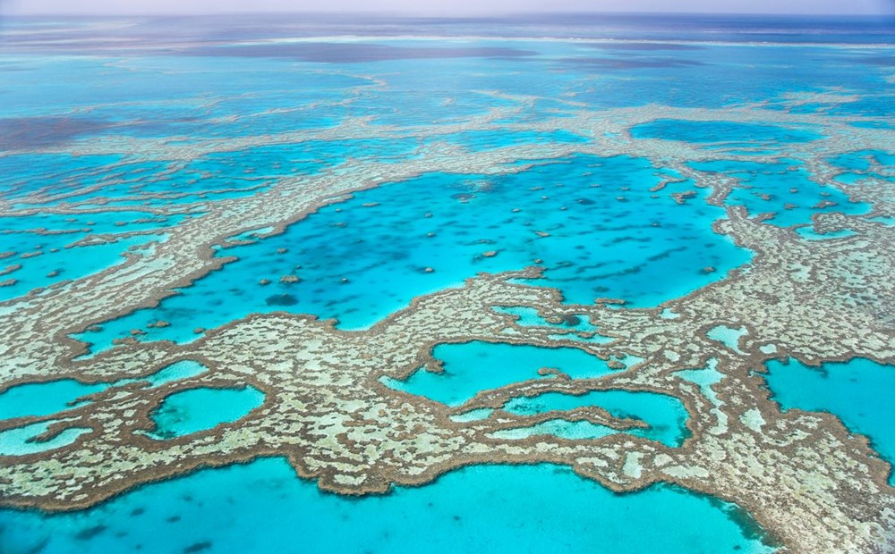 UNESCO: Büyük Set Resifi, küresel ısınmadan gördüğü zarar nedeniyle 