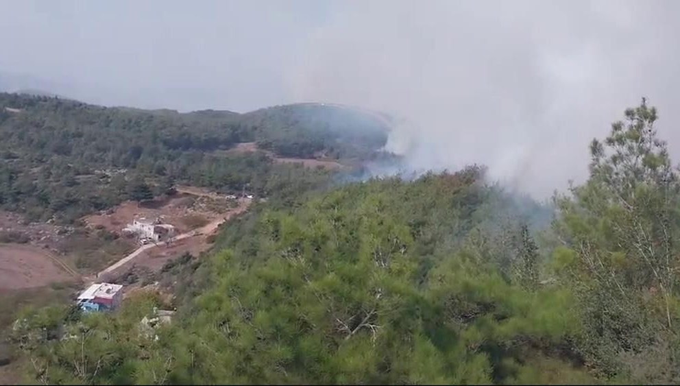 Hatay’da orman yangını: Havadan ve karadan müdahalesi başladı