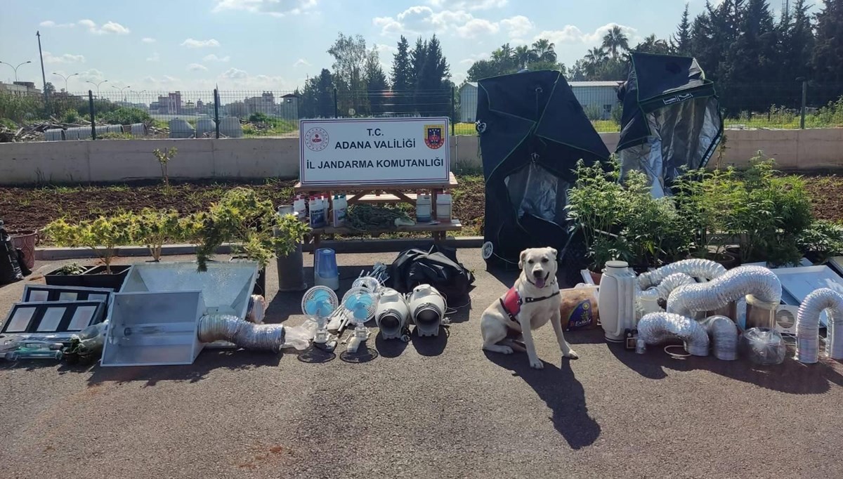 Adana’da apartman dairelerinde uyuşturucu imalatı Adana’da apartman dairelerinde uyuşturucu imalatı