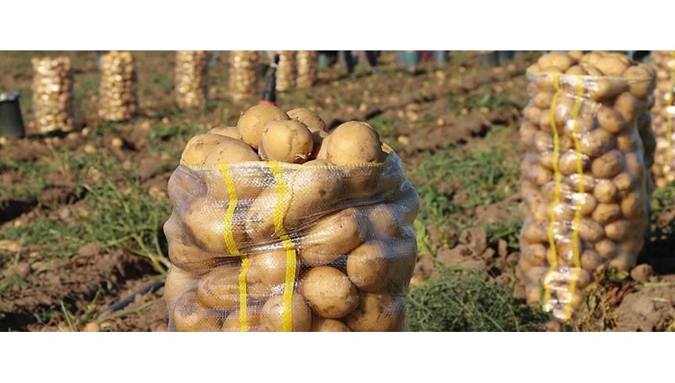 "Patateste tarla fiyatı 2,5 liranın altına inmez"