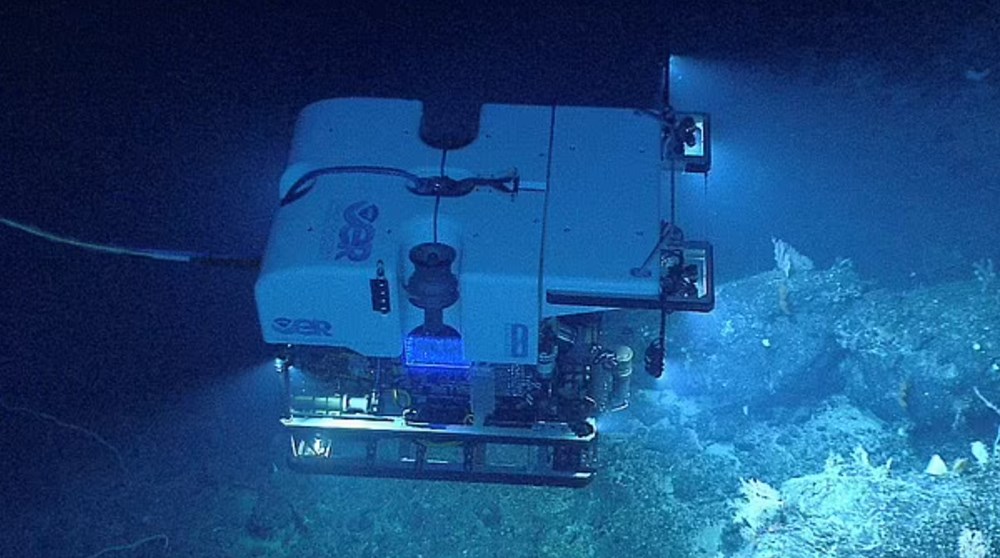 Okyanusun 700 metre altında yaşıyor: Kırmızı denizanası bilim insanları tarafından ilk defa gözlemlendi - 4