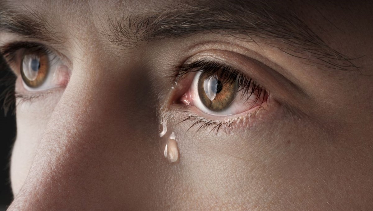 Birinin ''timsah gözyaşları'' döktüğünü nasıl anlarsınız?