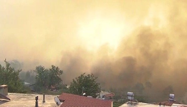 CFonLO2JlUiL5 yRp6CRSA