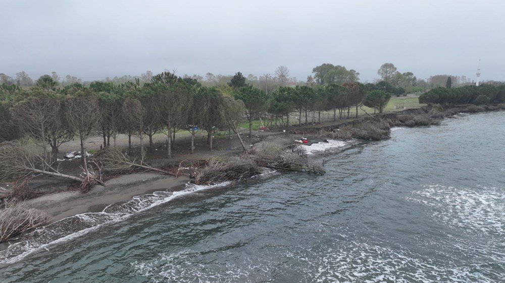 Terme Ovası'nda kıyı erozyonu ağaçları devirdi 75 CGkwdASEQUefPsrhPhLvqg