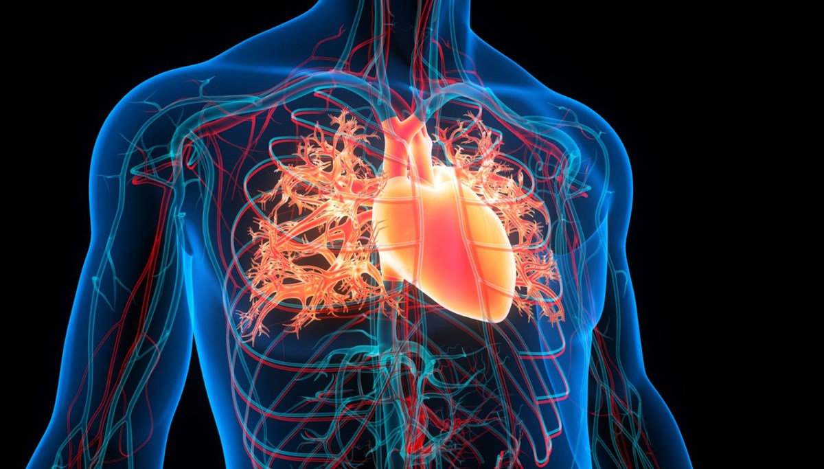 Kalp sağlığını iyileştirmenin yolları