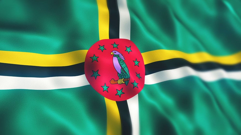 Dünya bayrakları hakkında ilginç gerçekler - 8