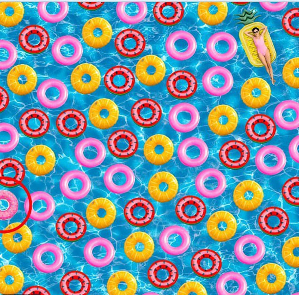 Bu görsel size kim olduğunuzu söylüyor: Resimde ilk önce hangi hayvanı gördünüz? - 75