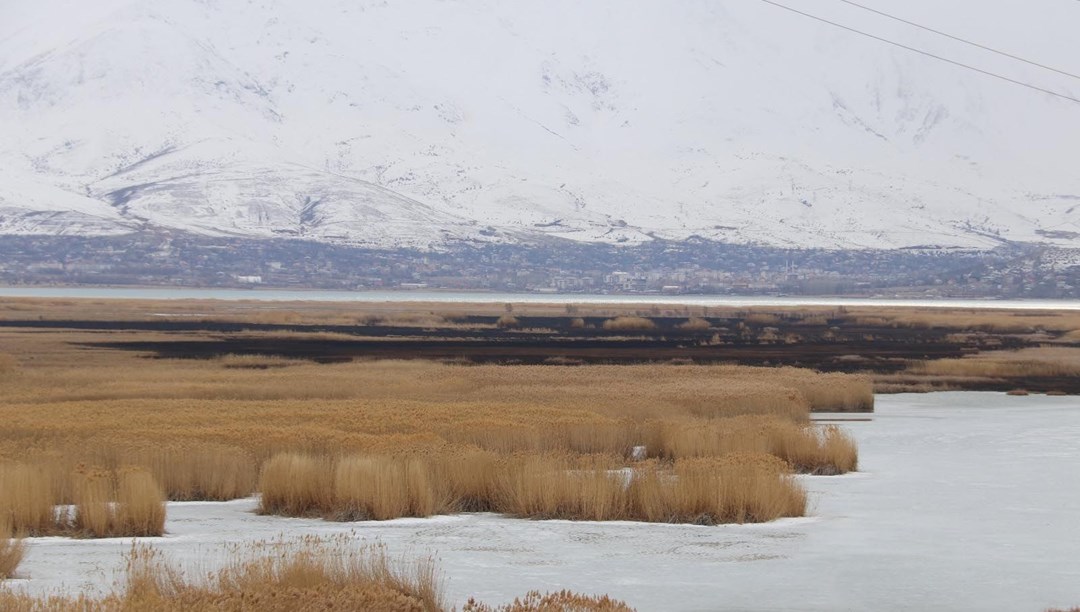 Onlarca kuş türüne ev sahipliği yapıyor: Dilkaya Sazlığı'nda yangın