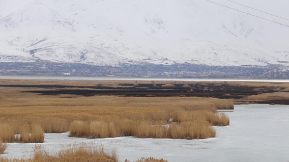 Onlarca kuş türüne ev sahipliği yapıyor: Dilkaya Sazlığı'nda yangın