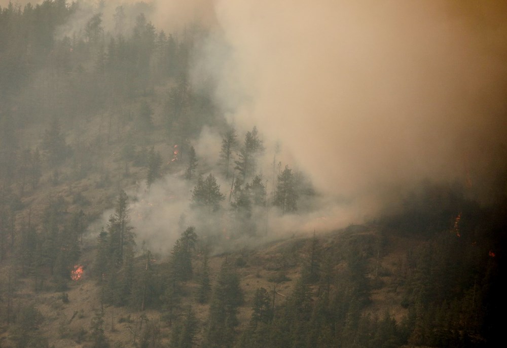 Kanada'da orman yangınları: Ankara büyüklüğünde bir alan kül oldu - 13