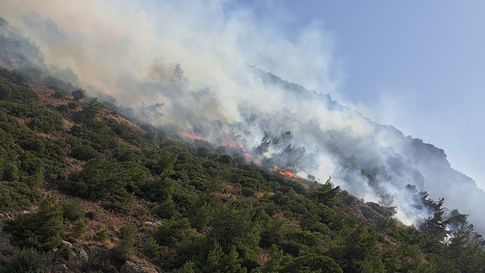 Söke’de orman yangını (Havadan ve karadan müdahale başladı) - 1