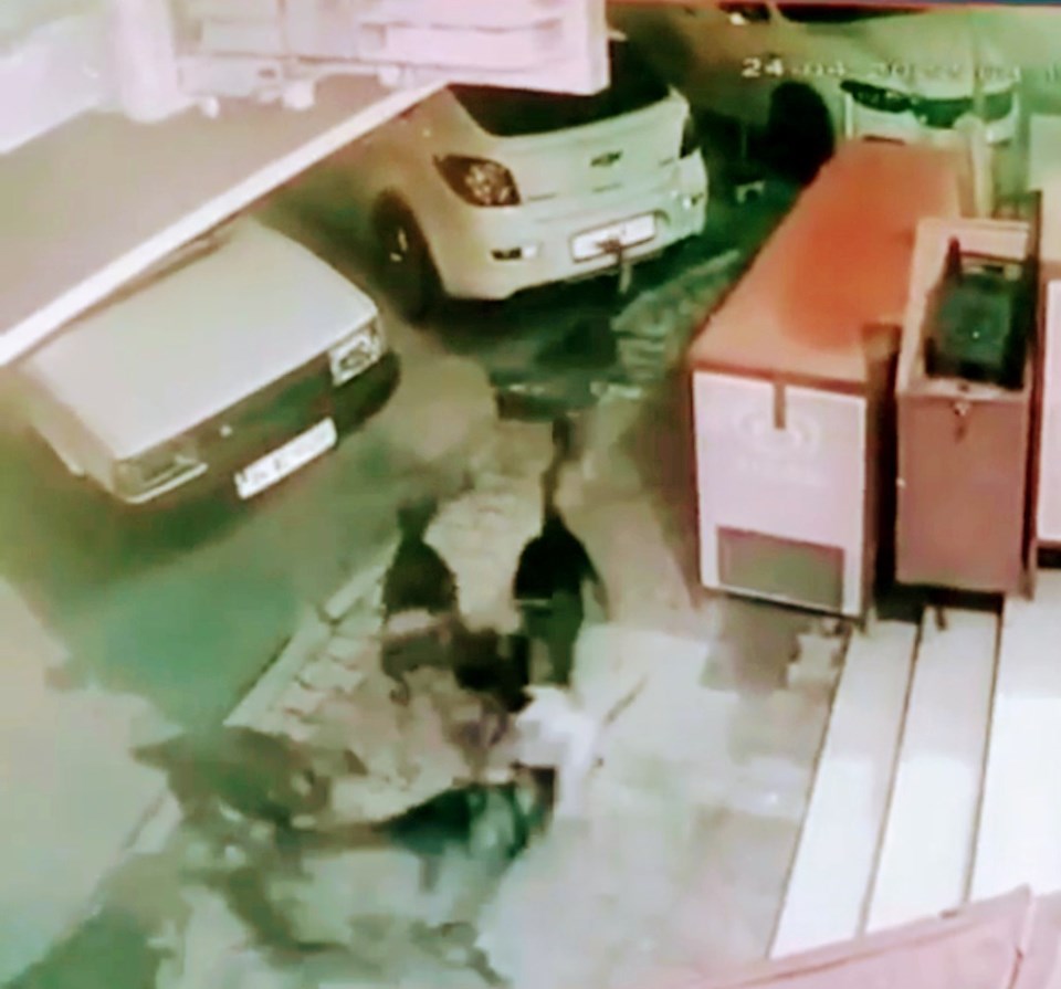İstanbul'da sokak köpekleri anne ve çocuğuna saldırdı - 2