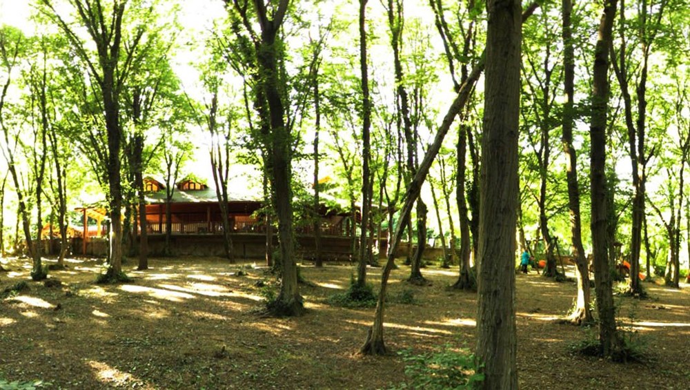 İstanbul'un Tabiat Parkları (İstanbul'daki tabiat parklarının listesi ve isimleri) - 12 İstanbul'un Tabiat Parkları (İstanbul'daki tabiat parklarının listesi ve isimleri) - 12