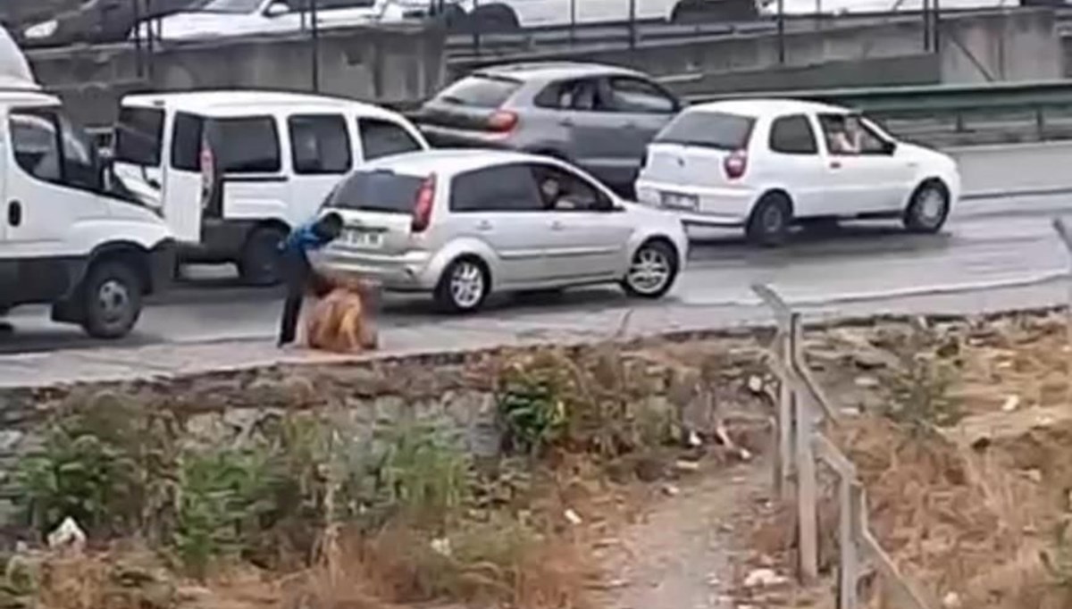 Tartıştığı kadına yol kenarında kemerle saldırdı Tartıştığı kadına yol kenarında kemerle saldırdı