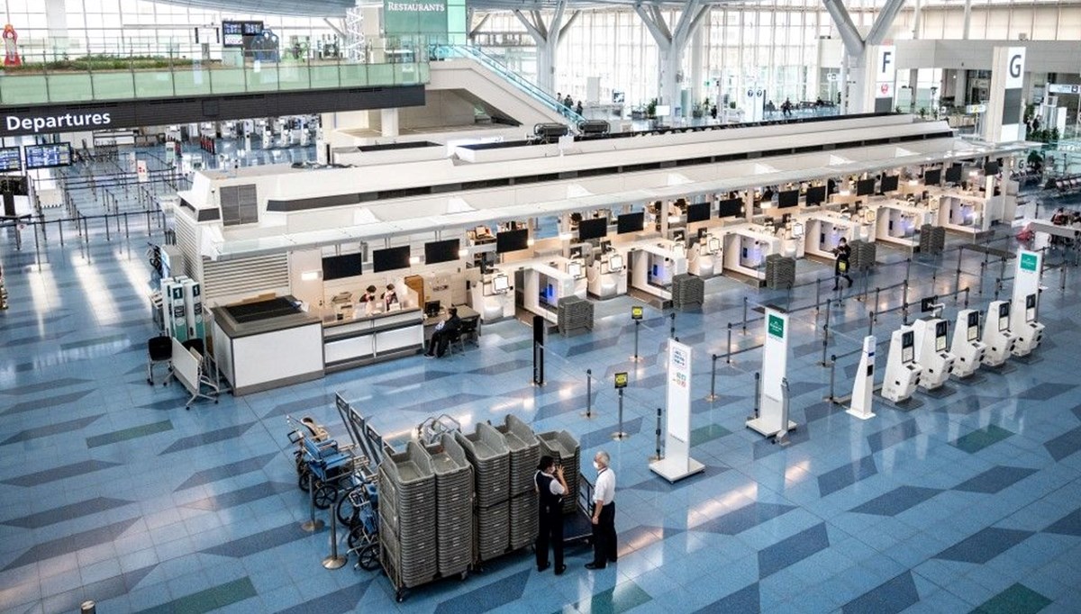 Osaka havalimanında 'istilacı' karınca türü alarmı
