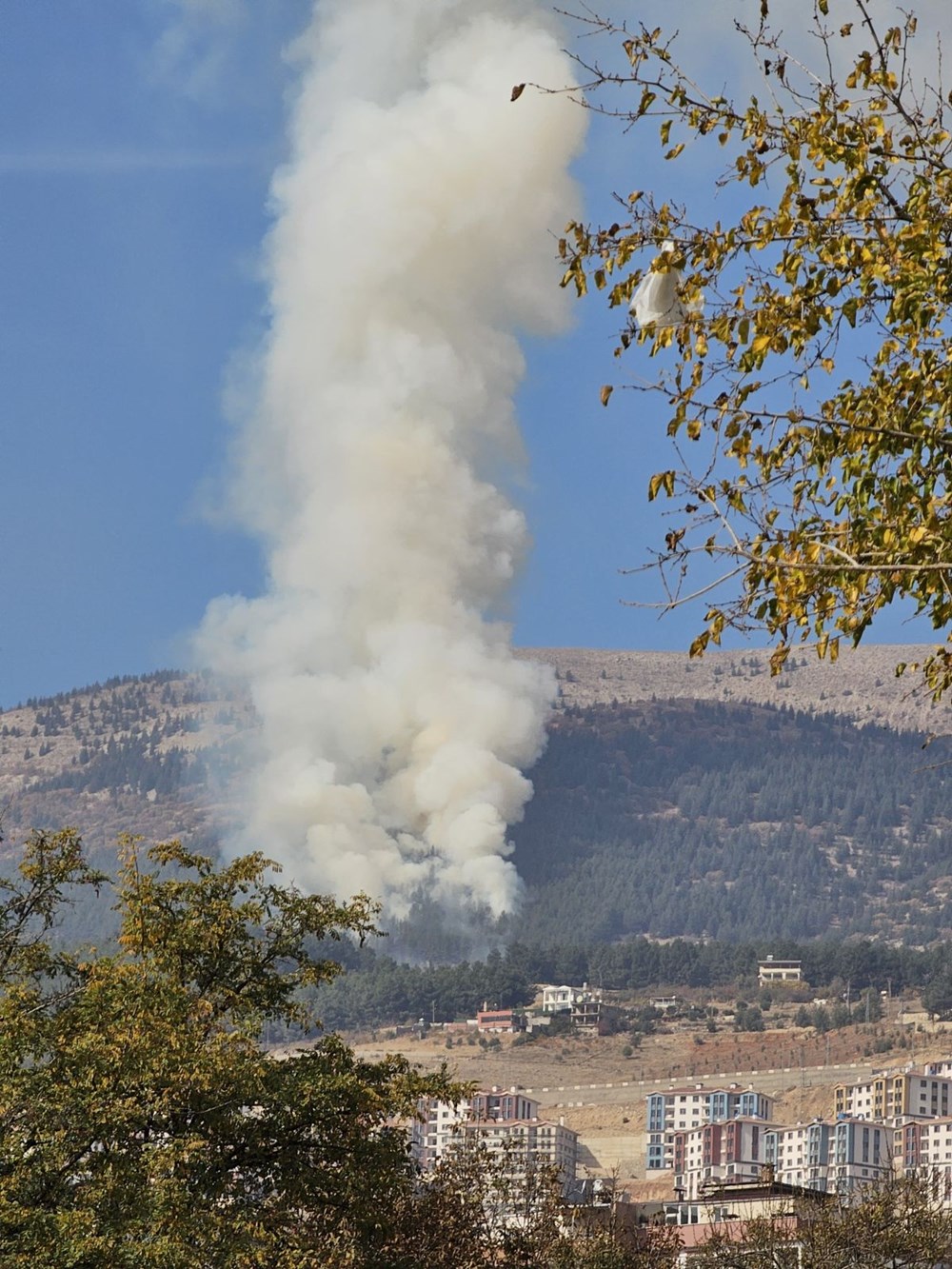 Kahramanmaraş'ta orman yangını: Ekipler müdahale ediyor - 2