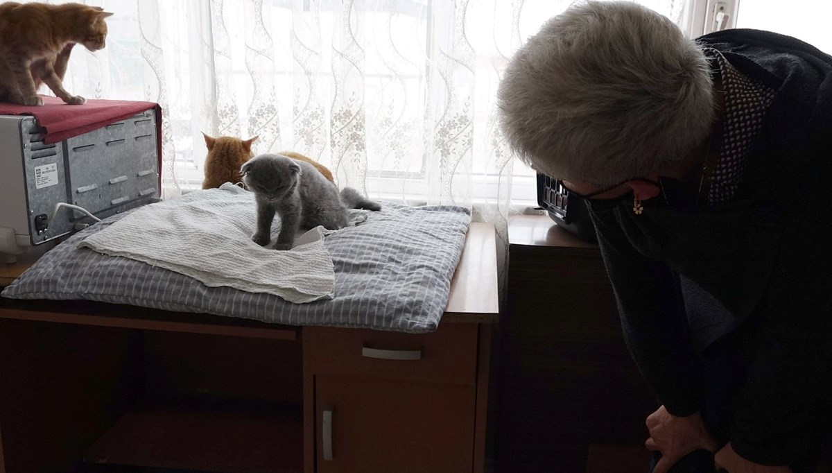 Kediyi duvara fırlatan kocaya bin 500 lira ceza