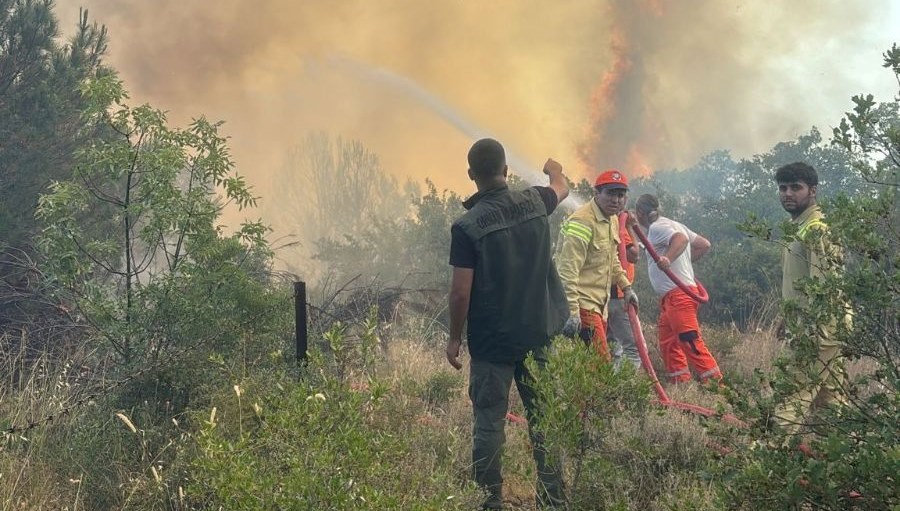 Bursa'da orman yangını