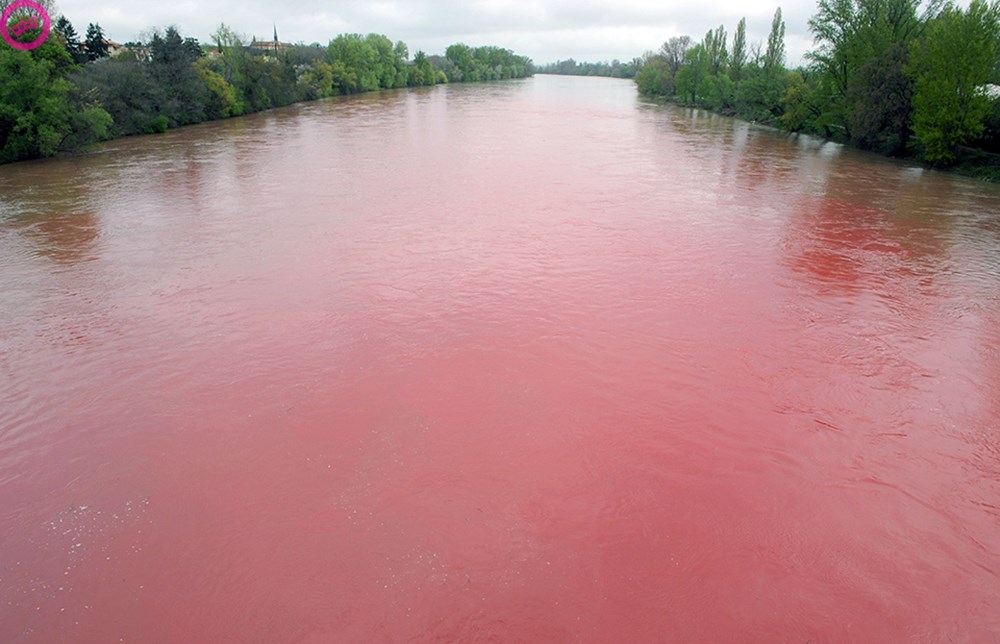 Вода цветет. Цветение водоемов. Цветение водохранилища.