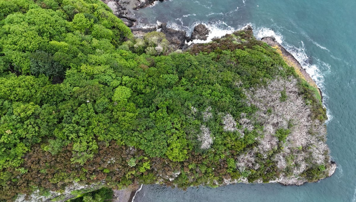 Karadeniz'in en önemli turizm merkezi: 5 bin turisti ağırlıyor
