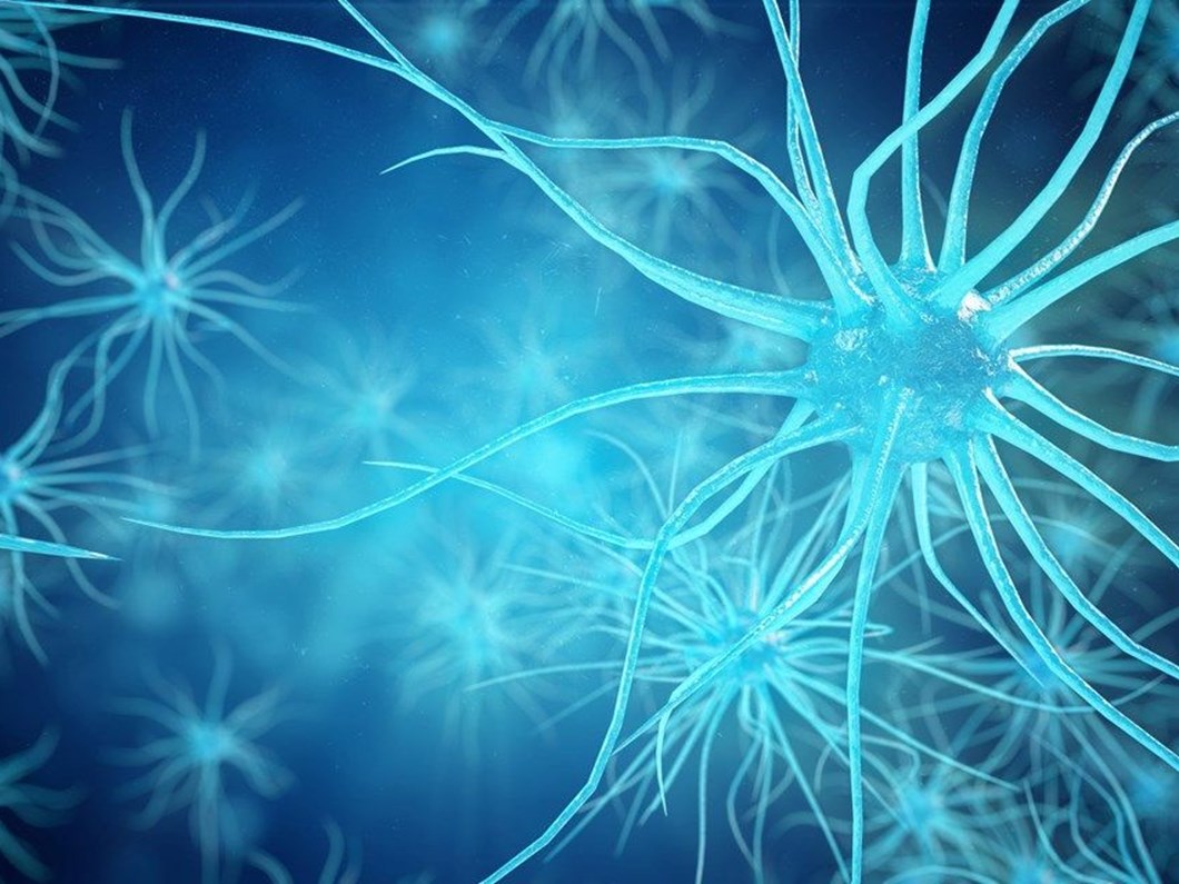 als hastaligi nedir nasil olur amyotrofik lateral skleroz belirtileri nelerdir