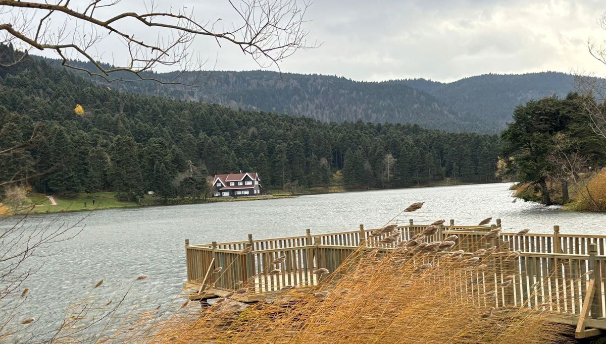 Bolu'da kuvvetli rüzgar etkili oluyor