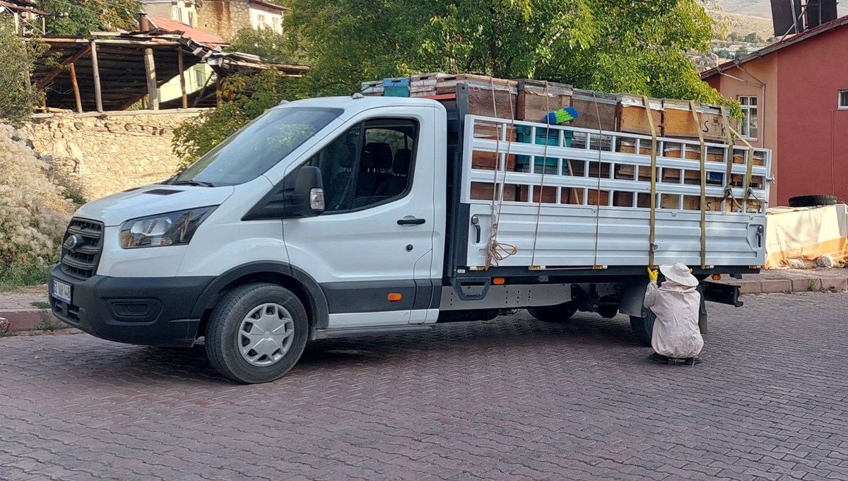 Tunceli’de arılar 3 kişiyi hastanelik etti