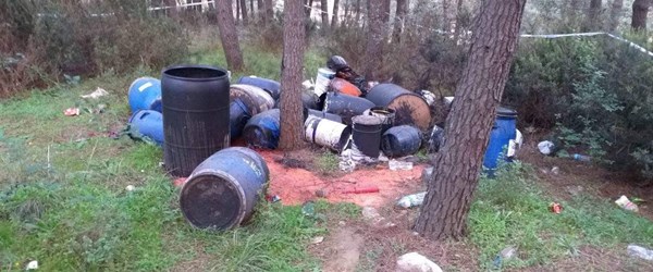 İstanbul'da ormanlık alanda kimyasal atık