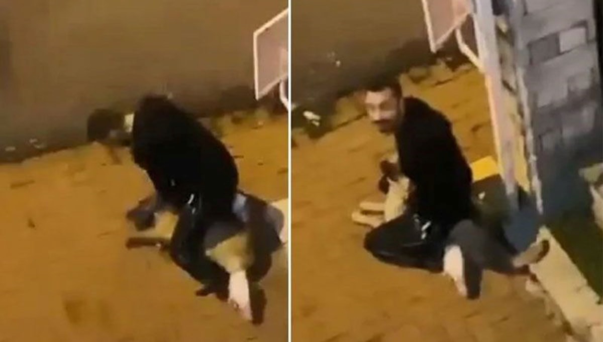 Sarıyer'de sahipsiz köpeğe işkence yapan sanığın cezası belli oldu Sarıyer'de sahipsiz köpeğe işkence yapan sanığın cezası belli oldu