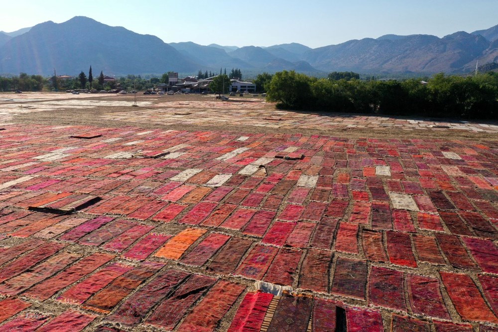 Antalya'nın halı tarlaları görsel bir şölen sunuyor - 2