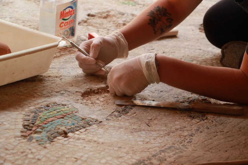 Balatlar Kazısı’nda, Zeugma'dakilere benzer mozaikler bulundu - 2
