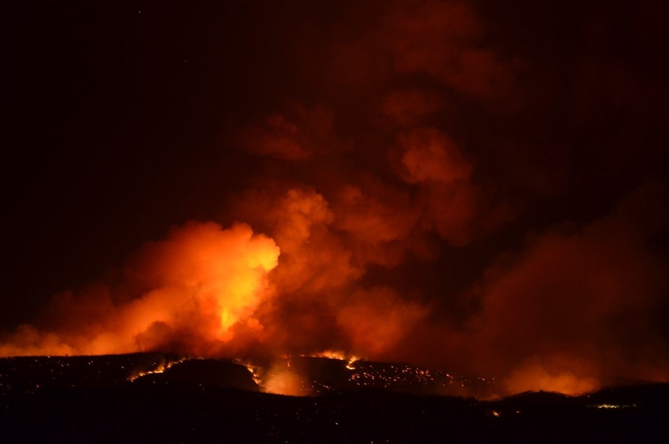 Aydın'da çıkan orman yangını Muğla Kavaklıdere'ye sıçradı - 1