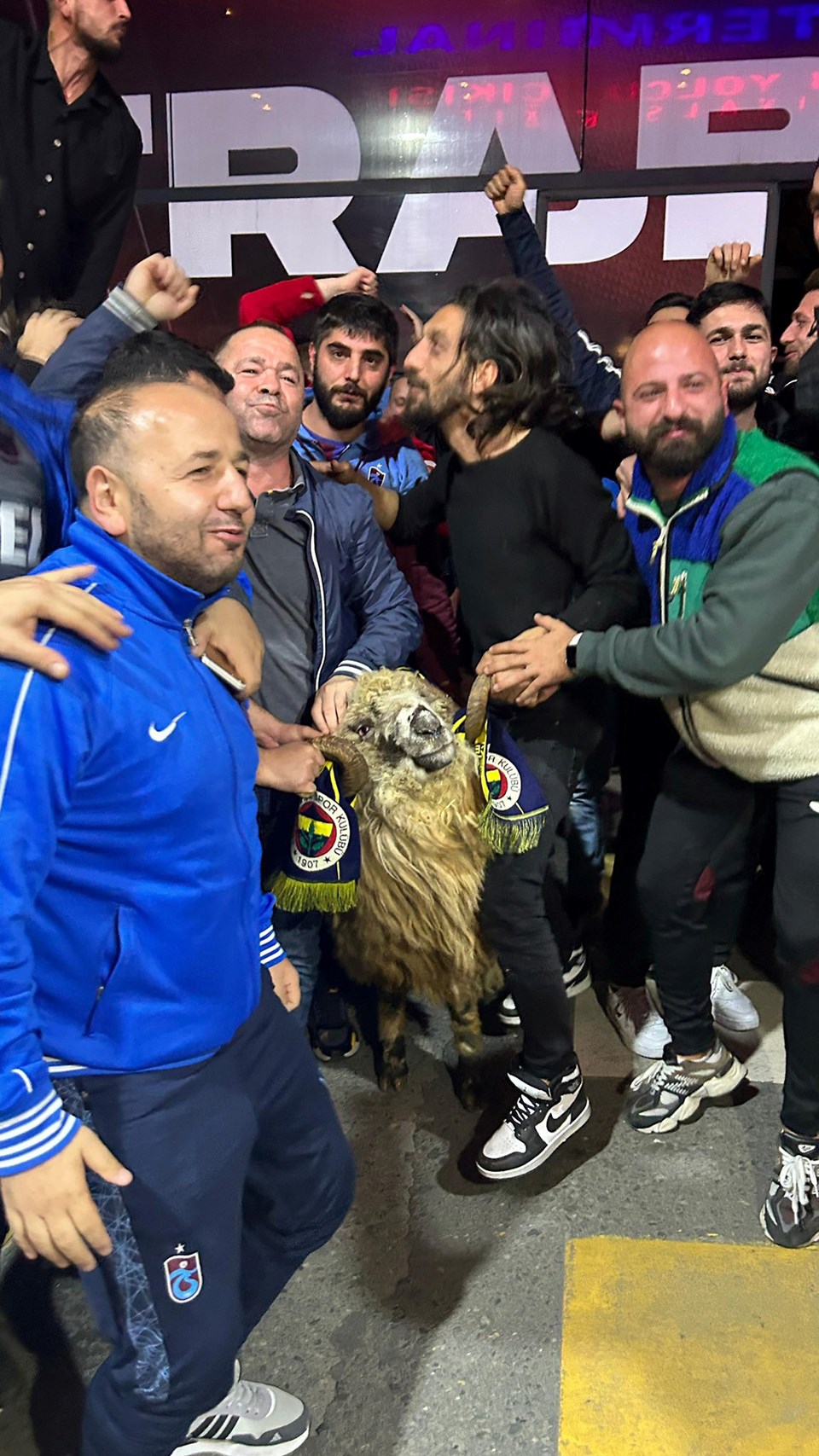 Trabzonspor kafilesine koçla karşılama - 1