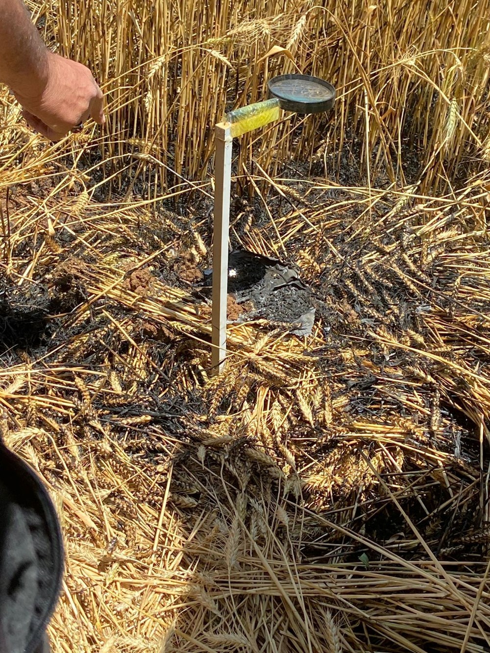 Mardin'de traktör ve trafoları ateşe verdiler - 7