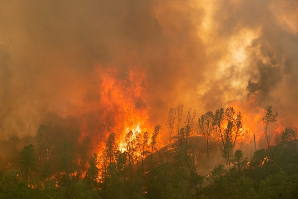 California'da 8 bin kilometrekare alan yandı, rekor kırıldı - 9