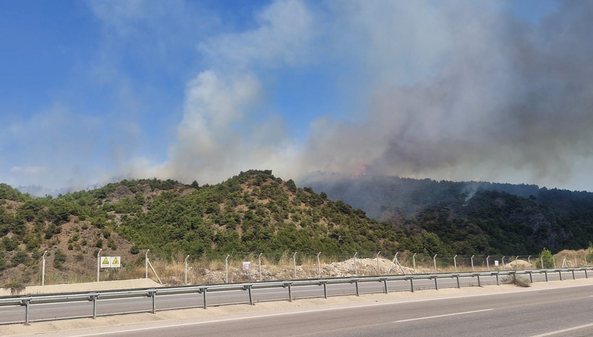 Tokat'ta orman yangını
