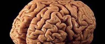 Mide Yanmasindan Kurtulun Mahmure