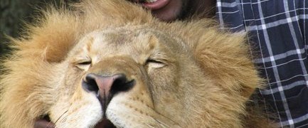 Kaplan hayvanat bahçesi bekçisini parçaladı Magazin Haberleri NTV