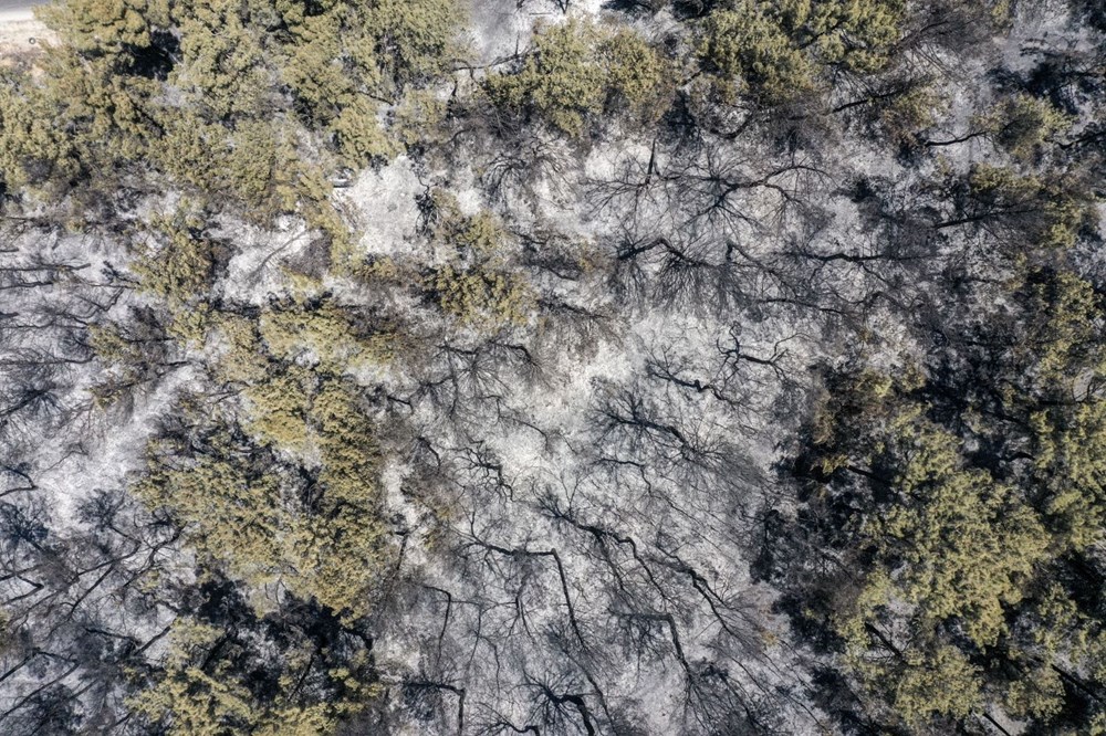 Buca'nın iki katı alan yandı - 2