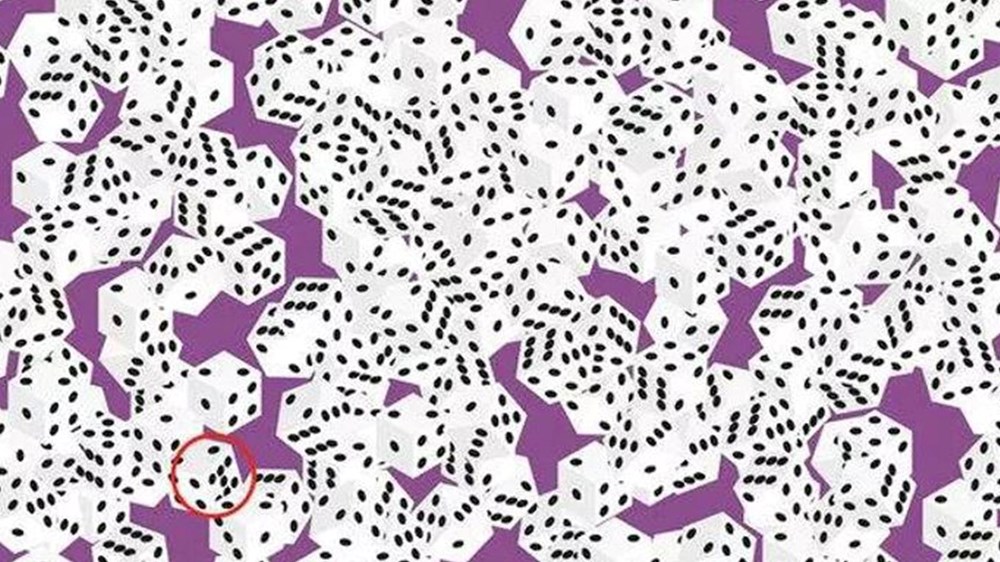 Bu görsel size kim olduğunuzu söylüyor: Resimde ilk önce hangi hayvanı gördünüz? - 92