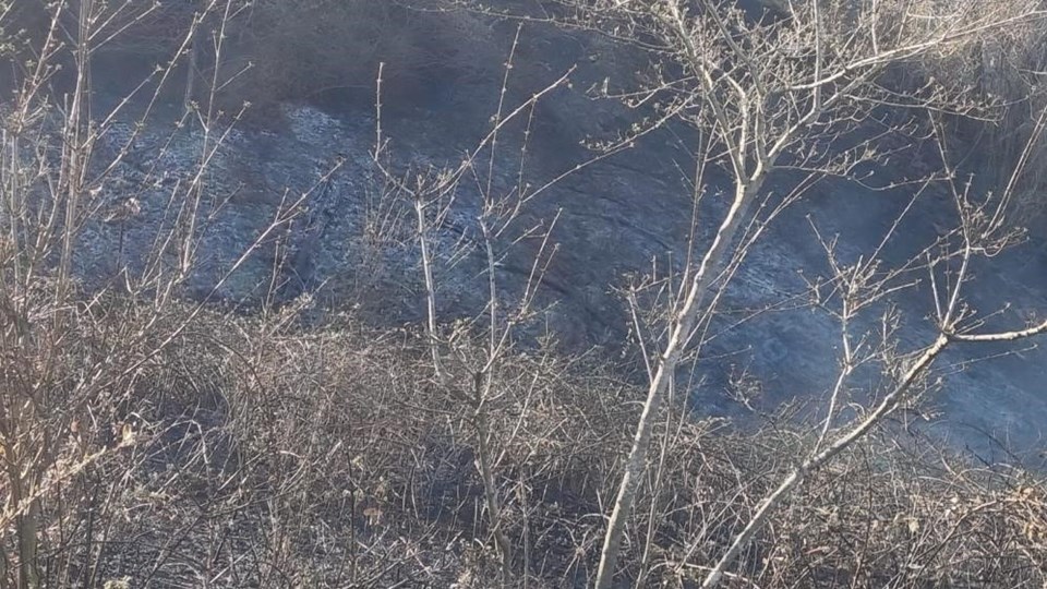 Sinop'ta orman yangını: 5 hektarlık alan zarar gördü - 1