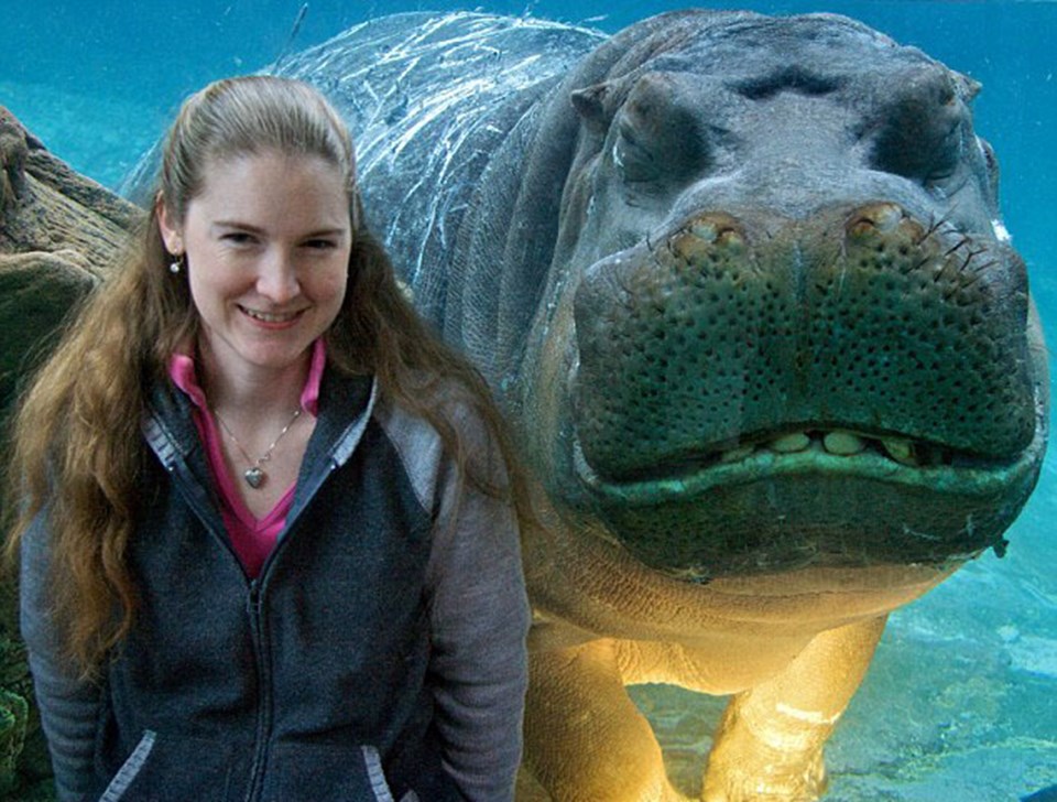 Bu hipopotam neye gülüyor? - 1