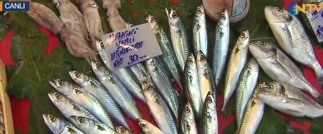 Sgk Tup Bebek Tedavisini Karsiliyor Mu