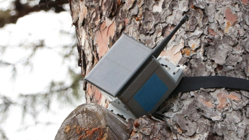 Orman yangınlarına karşı yeni önlem (İlk kez Heybeliada’da
deneniyor) - 2