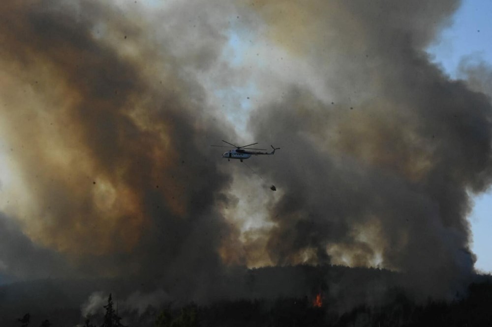 Bodrum'da yanan orman alanları yeşermeye başladı - 4