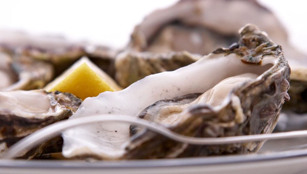 Vücudu besleyen doğanın en güçlü 2 protein kaynağı: B12, Omega-3 ihtiyacını 1 günde karşılıyor Vücudu besleyen doğanın en güçlü 2 protein kaynağı: B12, Omega-3 ihtiyacını 1 günde karşılıyor