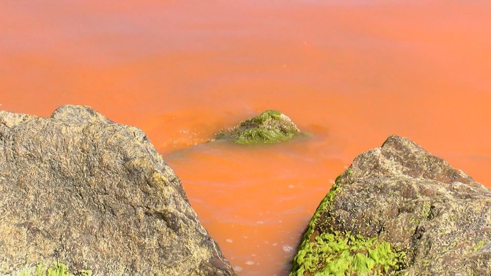 Karadeniz'in rengi korkuttu: İlk defa böyle bir şey gördük - 3